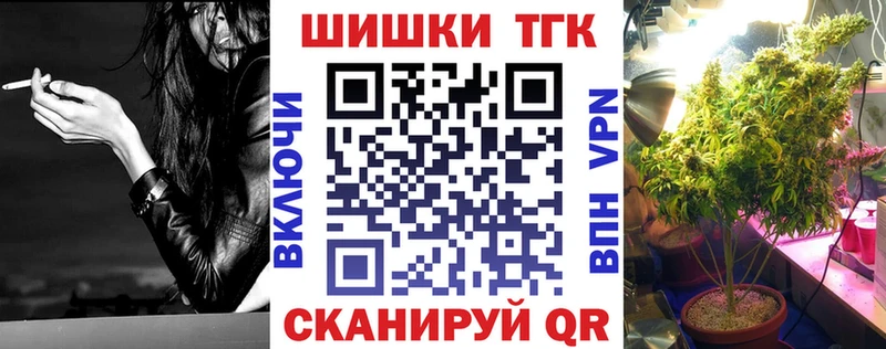 Наркота Сенгилей Псилоцибиновые грибы  Канабис  Вейп ТГК  ГАШИШ  Alpha-PVP  ОМГ ОМГ как войти  МЕФ 