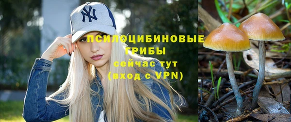 молекула духа Армянск