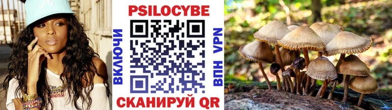 mega как войти  Сенгилей  Галлюциногенные грибы MAGIC MUSHROOMS 